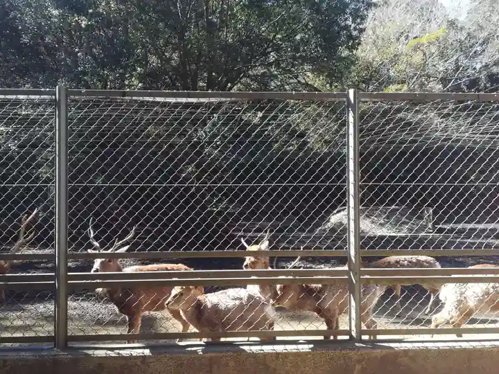 鹿島神宮(茨城県)