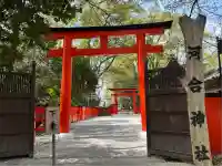 河合神社(鴨川合坐小社宅神社)の鳥居