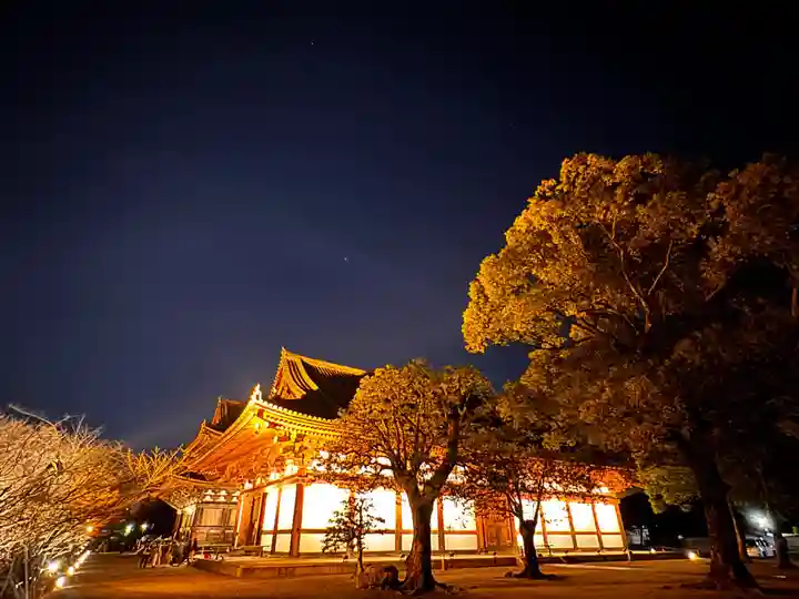 東寺(教王護国寺)の御朱印