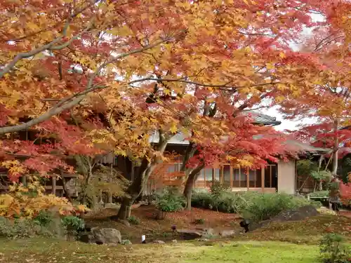 宝厳院(京都府)