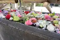 鳩森八幡神社(東京都)