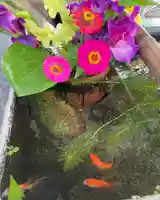 高司神社〜むすびの神の鎮まる社〜(福島県)