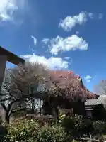 五條天神社(東京都)