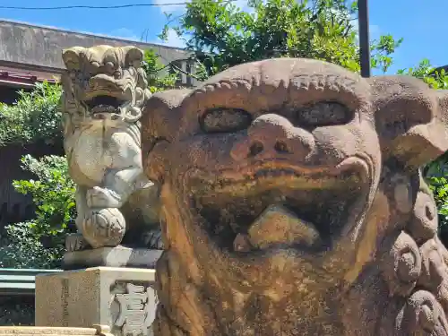 本土神社の狛犬