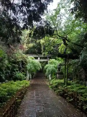 赤坂氷川神社(東京都)