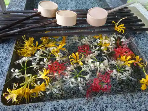 横浜　西方寺の手水舎