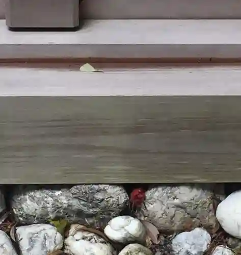 朝熊神社（皇大神宮摂社）・朝熊御前神社（皇大神宮摂社）の動物