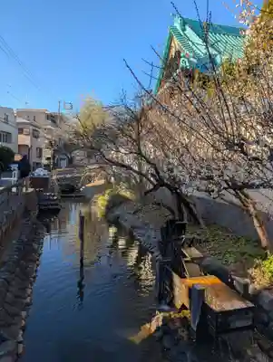 東光院(東京都)