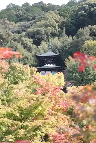 禅林寺（永観堂）(京都府)