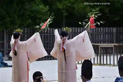 阿佐ヶ谷神明宮(東京都)