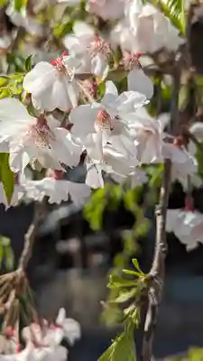 玉田神社(京都府)