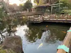 東郷神社の庭園