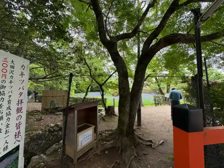 大田神社(賀茂別雷神社境外摂社)の{uncategorized: "未分類", other: "その他", undefined: "問題あり", building: "その他建物", grave: "お墓", sacred_gate: "鳥居", guardian: "狛犬", statue: "像", buddha: "仏像", history: "歴史", nature: "自然", garden: "庭園", animal: "動物", pagoda: "塔", temizu: "手水舎", mountain_gate: "山門・神門", sanctuary: "本殿・本堂", subordinate: "末社・摂社", art: "芸術", scenery: "景色", jizo: "地蔵", ema: "絵馬", goshuin: "御朱印", omikuji: "おみくじ", items: "授与品その他", amulet: "お守り", goshuincho: "御朱印帳", eats: "食事", festival: "お祭り", votive_dance: "神楽", shichigosan: "七五三参", wedding: "結婚式", experience: "体験その他", initially: "初詣", around: "周辺", anti_infection: "感染症対策"}