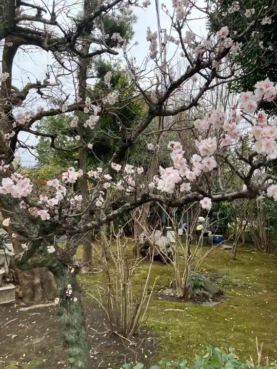 長松寺(神奈川県)