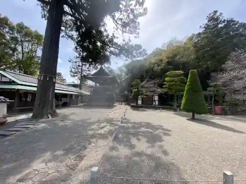 興国寺(和歌山県)