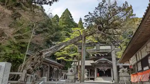 飛龍八幡宮(山口県)