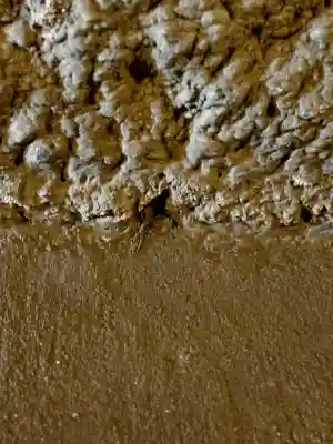 銭洗弁財天宇賀福神社(神奈川県)