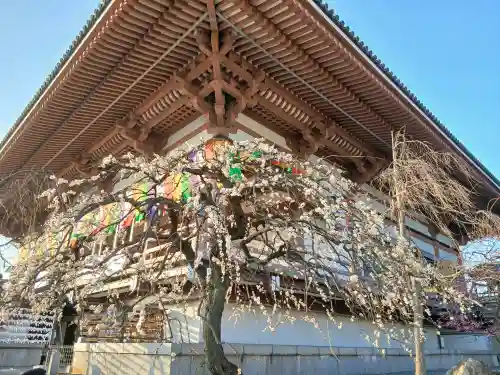 西新井大師総持寺の{uncategorized: "未分類", other: "その他", undefined: "問題あり", building: "その他建物", grave: "お墓", sacred_gate: "鳥居", guardian: "狛犬", statue: "像", buddha: "仏像", history: "歴史", nature: "自然", garden: "庭園", animal: "動物", pagoda: "塔", temizu: "手水舎", mountain_gate: "山門・神門", sanctuary: "本殿・本堂", subordinate: "末社・摂社", art: "芸術", scenery: "景色", jizo: "地蔵", ema: "絵馬", goshuin: "御朱印", omikuji: "おみくじ", items: "授与品その他", amulet: "お守り", goshuincho: "御朱印帳", eats: "食事", festival: "お祭り", votive_dance: "神楽", shichigosan: "七五三参", wedding: "結婚式", experience: "体験その他", initially: "初詣", around: "周辺", anti_infection: "感染症対策"}