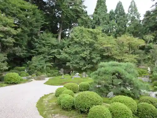 曼殊院門跡の庭園