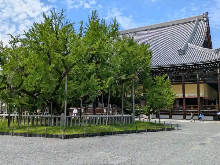 本願寺(西本願寺)の{uncategorized: "未分類", other: "その他", undefined: "問題あり", building: "その他建物", grave: "お墓", sacred_gate: "鳥居", guardian: "狛犬", statue: "像", buddha: "仏像", history: "歴史", nature: "自然", garden: "庭園", animal: "動物", pagoda: "塔", temizu: "手水舎", mountain_gate: "山門・神門", sanctuary: "本殿・本堂", subordinate: "末社・摂社", art: "芸術", scenery: "景色", jizo: "地蔵", ema: "絵馬", goshuin: "御朱印", omikuji: "おみくじ", items: "授与品その他", amulet: "お守り", goshuincho: "御朱印帳", eats: "食事", festival: "お祭り", votive_dance: "神楽", shichigosan: "七五三参", wedding: "結婚式", experience: "体験その他", initially: "初詣", around: "周辺", anti_infection: "感染症対策"}