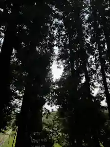 大宮温泉神社(栃木県)(2023年10月09日(月) 09時41分49秒投稿)