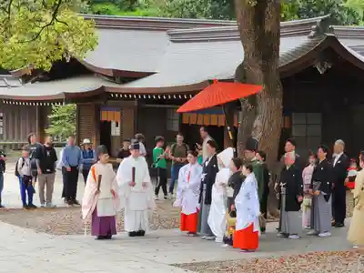 明治神宮(東京都)