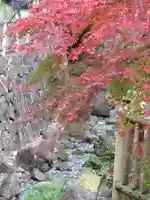 王子神社の自然