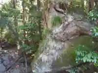 月水石神社のその他建物