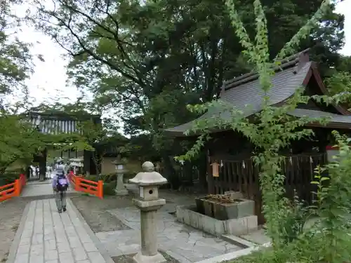 今宮神社の手水舎
