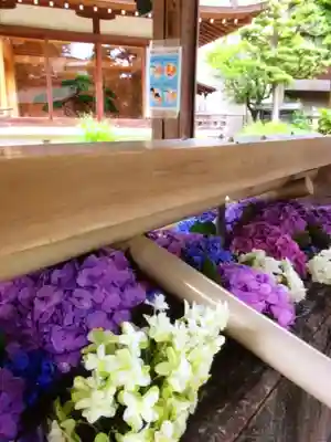 鳩森八幡神社の手水舎
