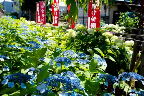 日吉八王子神社の自然