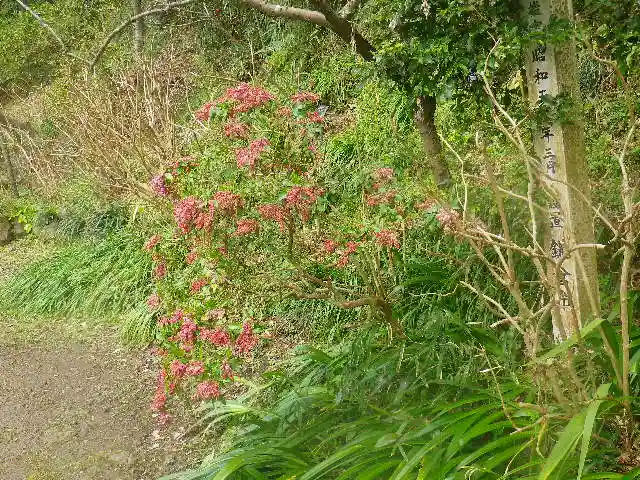 荏柄天神社の自然