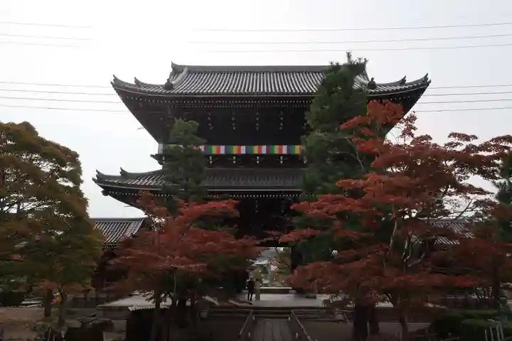くろ谷 金戒光明寺(京都府)