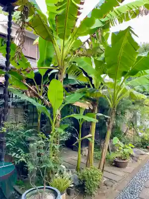 洞雲寺(東京都)