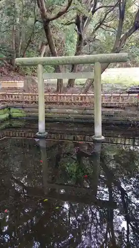 大洗磯前神社の鳥居