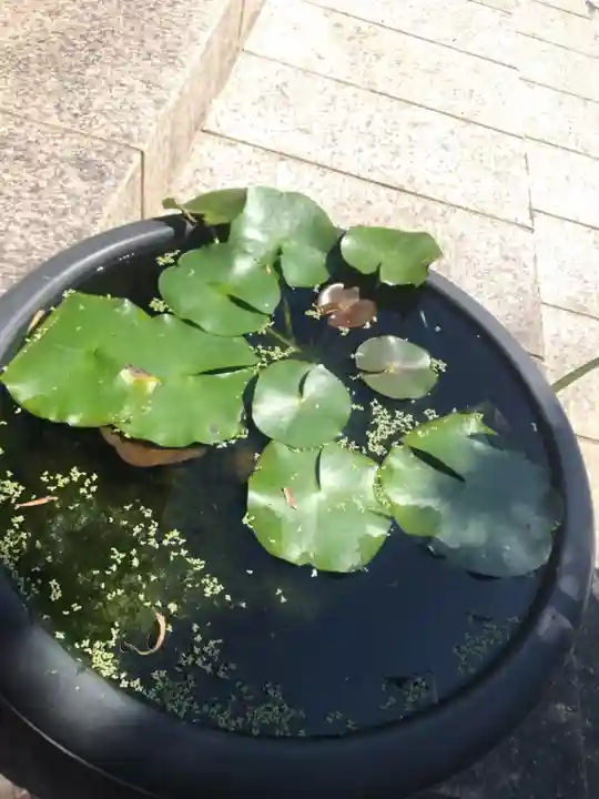 浄元寺のその他建物