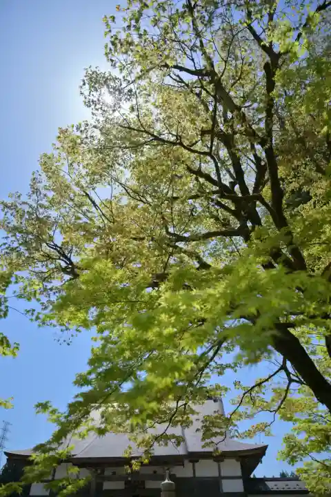 妙高寺(新潟県)