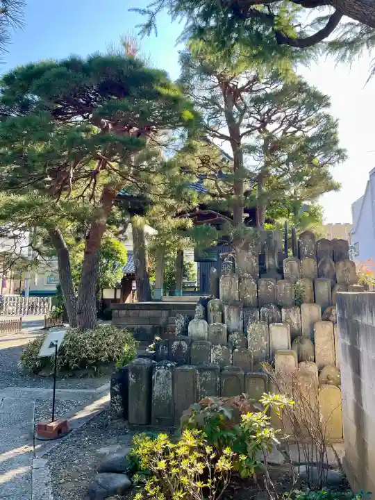 光明寺の{uncategorized: "未分類", other: "その他", undefined: "問題あり", building: "その他建物", grave: "お墓", sacred_gate: "鳥居", guardian: "狛犬", statue: "像", buddha: "仏像", history: "歴史", nature: "自然", garden: "庭園", animal: "動物", pagoda: "塔", temizu: "手水舎", mountain_gate: "山門・神門", sanctuary: "本殿・本堂", subordinate: "末社・摂社", art: "芸術", scenery: "景色", jizo: "地蔵", ema: "絵馬", goshuin: "御朱印", omikuji: "おみくじ", items: "授与品その他", amulet: "お守り", goshuincho: "御朱印帳", eats: "食事", festival: "お祭り", votive_dance: "神楽", shichigosan: "七五三参", wedding: "結婚式", experience: "体験その他", initially: "初詣", around: "周辺", anti_infection: "感染症対策"}
