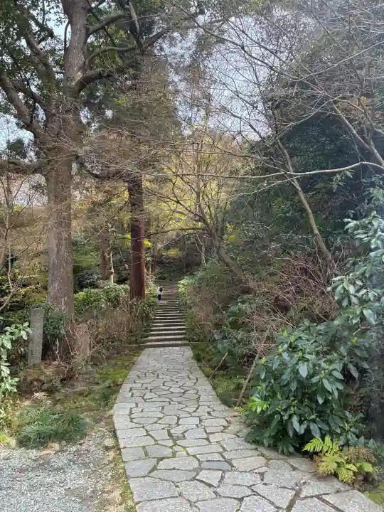 瑞泉寺の{uncategorized: "未分類", other: "その他", undefined: "問題あり", building: "その他建物", grave: "お墓", sacred_gate: "鳥居", guardian: "狛犬", statue: "像", buddha: "仏像", history: "歴史", nature: "自然", garden: "庭園", animal: "動物", pagoda: "塔", temizu: "手水舎", mountain_gate: "山門・神門", sanctuary: "本殿・本堂", subordinate: "末社・摂社", art: "芸術", scenery: "景色", jizo: "地蔵", ema: "絵馬", goshuin: "御朱印", omikuji: "おみくじ", items: "授与品その他", amulet: "お守り", goshuincho: "御朱印帳", eats: "食事", festival: "お祭り", votive_dance: "神楽", shichigosan: "七五三参", wedding: "結婚式", experience: "体験その他", initially: "初詣", around: "周辺", anti_infection: "感染症対策"}