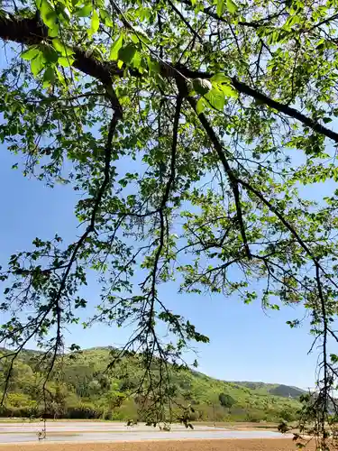 高司神社〜むすびの神の鎮まる社〜(福島県)