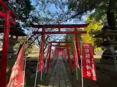 於菊稲荷神社の鳥居