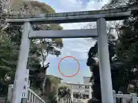 大洗磯前神社の{uncategorized: "未分類", other: "その他", undefined: "問題あり", building: "その他建物", grave: "お墓", sacred_gate: "鳥居", guardian: "狛犬", statue: "像", buddha: "仏像", history: "歴史", nature: "自然", garden: "庭園", animal: "動物", pagoda: "塔", temizu: "手水舎", mountain_gate: "山門・神門", sanctuary: "本殿・本堂", subordinate: "末社・摂社", art: "芸術", scenery: "景色", jizo: "地蔵", ema: "絵馬", goshuin: "御朱印", omikuji: "おみくじ", items: "授与品その他", amulet: "お守り", goshuincho: "御朱印帳", eats: "食事", festival: "お祭り", votive_dance: "神楽", shichigosan: "七五三参", wedding: "結婚式", experience: "体験その他", initially: "初詣", around: "周辺", anti_infection: "感染症対策"}