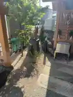 山蒼稲荷神社の{uncategorized: "未分類", other: "その他", undefined: "問題あり", building: "その他建物", grave: "お墓", sacred_gate: "鳥居", guardian: "狛犬", statue: "像", buddha: "仏像", history: "歴史", nature: "自然", garden: "庭園", animal: "動物", pagoda: "塔", temizu: "手水舎", mountain_gate: "山門・神門", sanctuary: "本殿・本堂", subordinate: "末社・摂社", art: "芸術", scenery: "景色", jizo: "地蔵", ema: "絵馬", goshuin: "御朱印", omikuji: "おみくじ", items: "授与品その他", amulet: "お守り", goshuincho: "御朱印帳", eats: "食事", festival: "お祭り", votive_dance: "神楽", shichigosan: "七五三参", wedding: "結婚式", experience: "体験その他", initially: "初詣", around: "周辺", anti_infection: "感染症対策"}