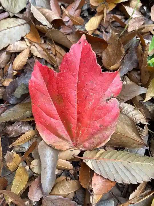 愛宕神社(茨城県)
