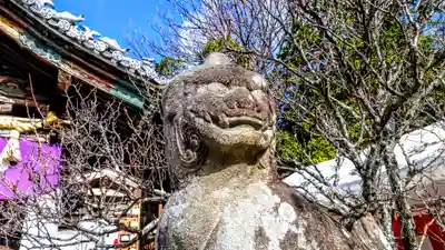 岡崎天満宮の狛犬