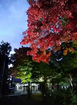 北広島市総鎮守　廣島神社(北海道)