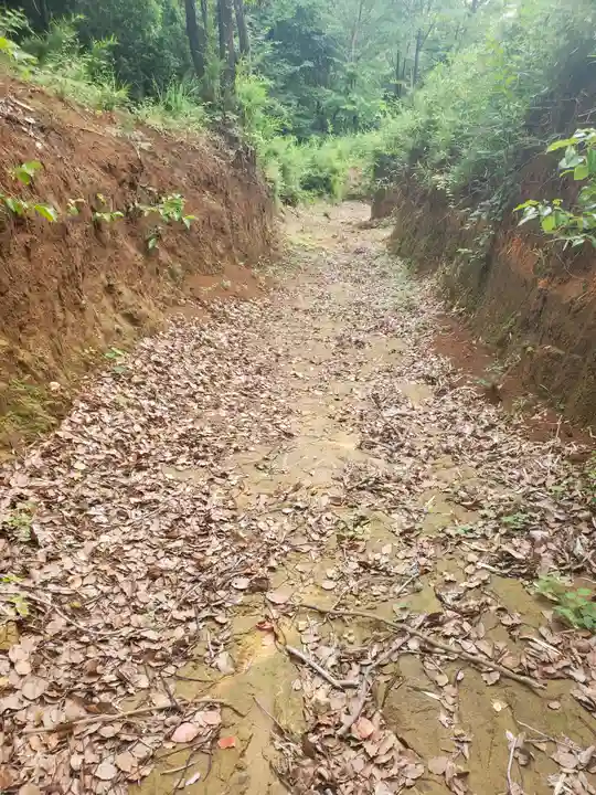 賀茂別雷神社(栃木県)