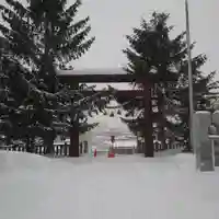 上手稲神社の鳥居