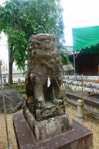 縣神社の狛犬