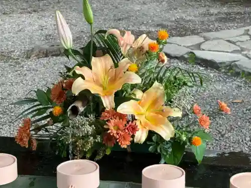 武蔵一宮氷川神社(埼玉県)